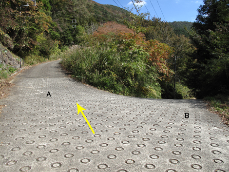 20181102hike (25)